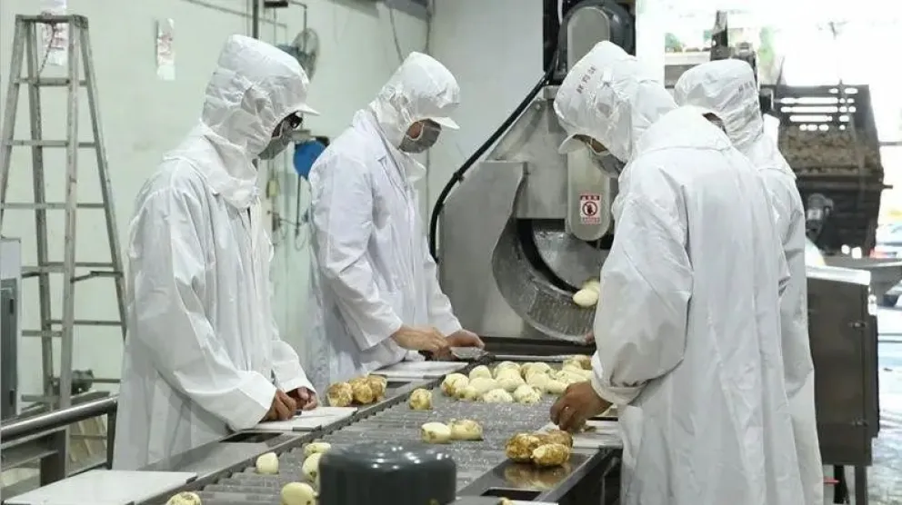 El programa busca fortalecer los procesos productivos mediante la incorporación de equipamiento.
Crédito: Gobierno de Rio Negro