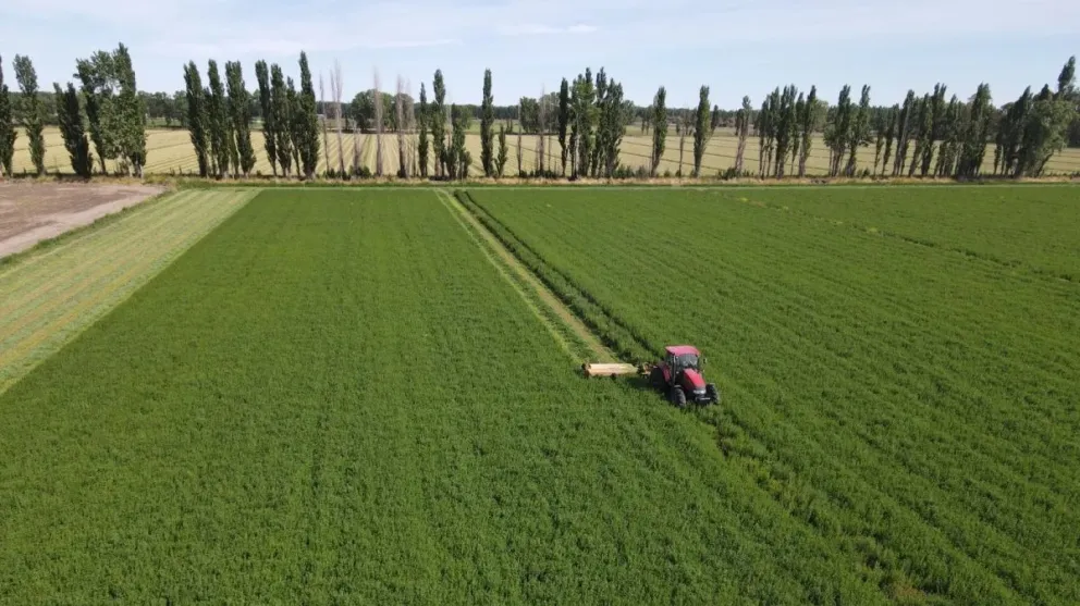 Se amplían las herramientas de financiamiento para la producción
Crédito: Gobierno de Río Negro