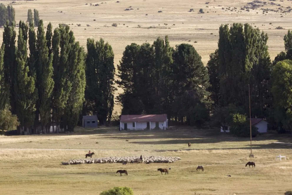 SENASA prorrogó hasta el viernes 6 de noviembre el plazo para actualizar los datos del RENSPA, con opciones de trámite digital y presencial para los productores agropecuarios. Foto: archivo.